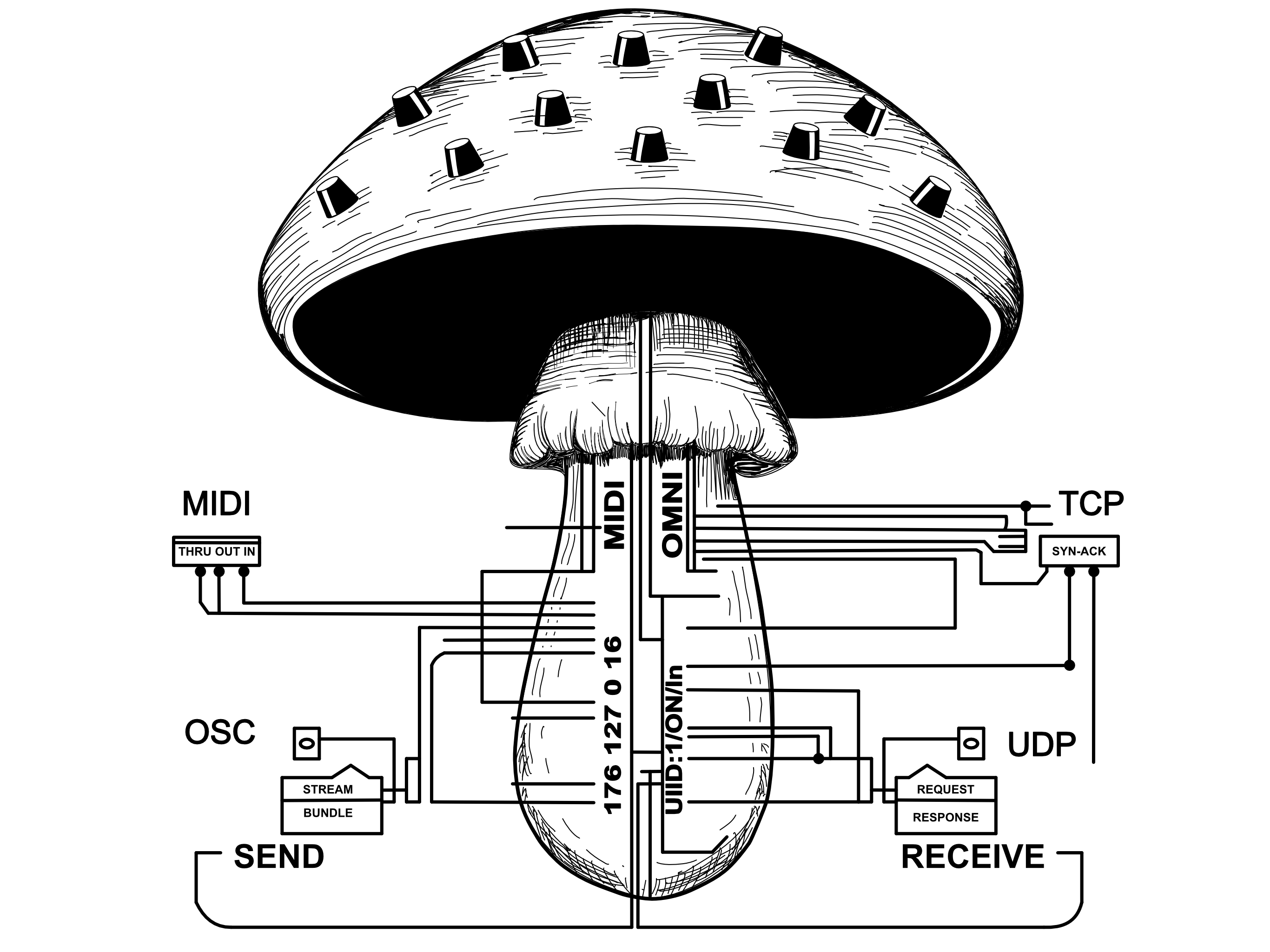 HyphaCore Logo